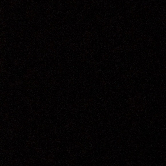 Meet your Posher, Tassy - Picture 1 of 1